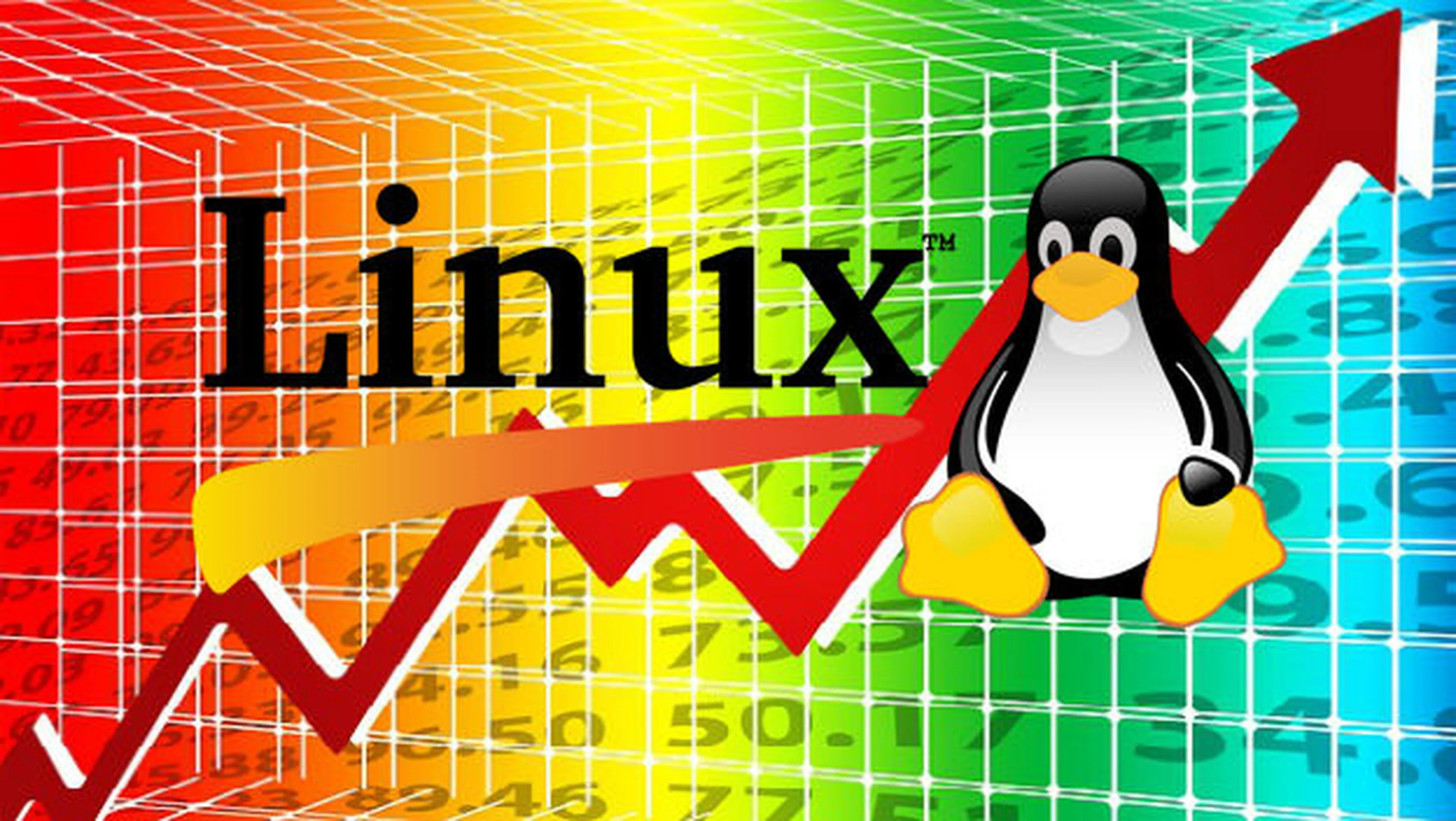 X11 vs Wayland en Linux: ¿Cuál protocolo es mejor? - Zidrave in the Net